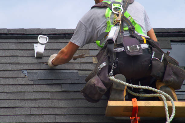 Roof Gutter Cleaning in Bidwell, OH