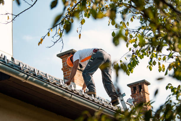 Best Roof Repair Services  in Bidwell, OH