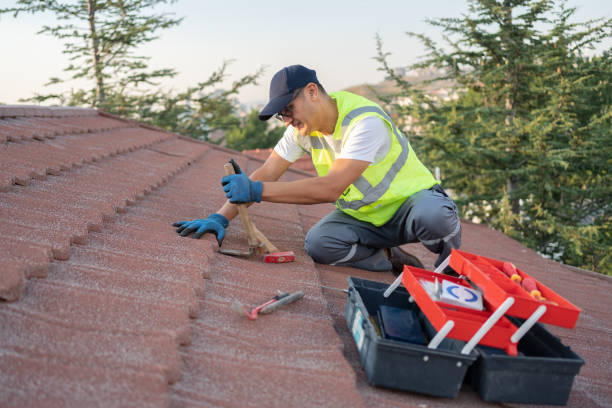 Best Roof Repair Specialists  in Bidwell, OH
