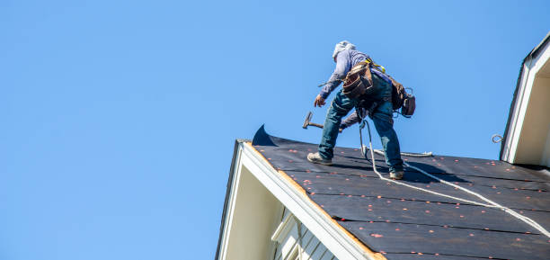 Best Gutter Installation and Roofing  in Bidwell, OH